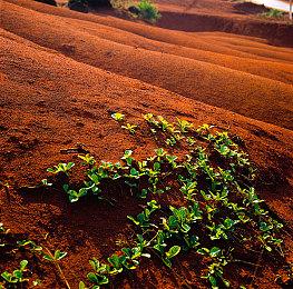 冒险类游戏《儒林外史·范进篇》Steam页面上线 明年发售